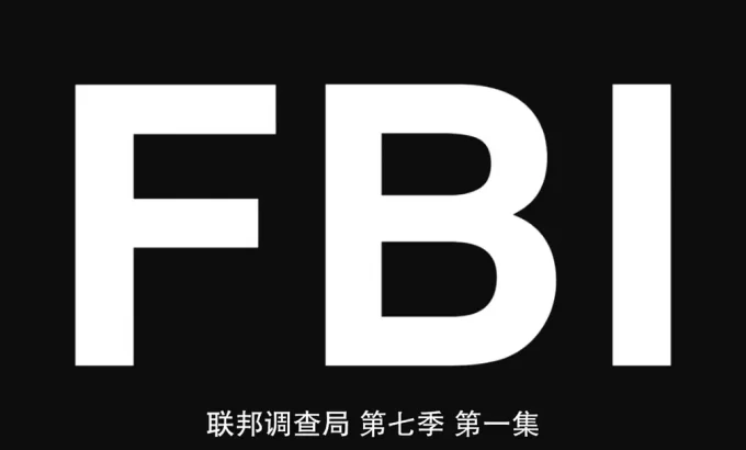联邦调查局 第七季 FBI Season 7