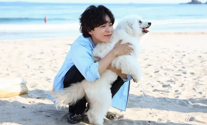 初恋DOGs