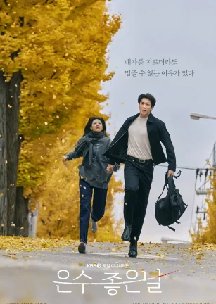 恩秀的好日子 은수좋은날